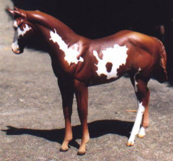 Weanling Painted by Katie Richards