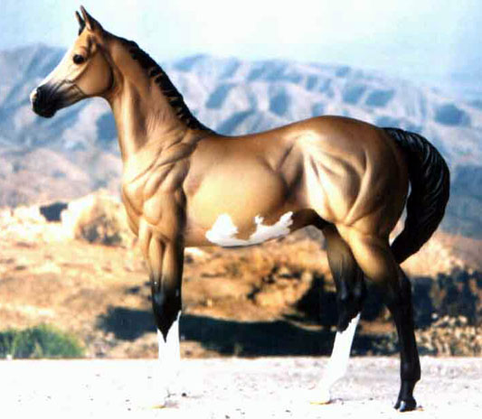 Weanling Painted by Gabriele Riedberg