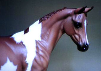 Weanling Painted by Sarah Minkiewicz-Breunig