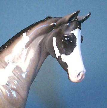 Weanling Painted by Janis Whitcomb