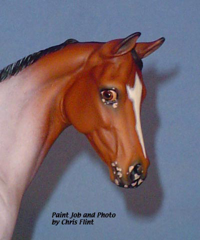 Weanling Painted by Chris Nandell