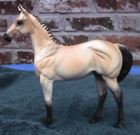 Weanling Painted by Gina Anderson