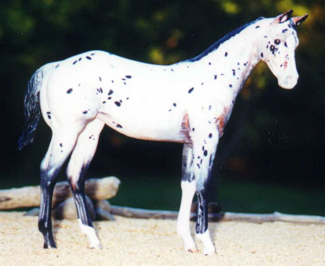 Weanling Painted by Jennifer Kroll