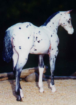 Weanling Painted by Jennifer Kroll