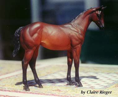 Weanling Painted by Claire Rieger