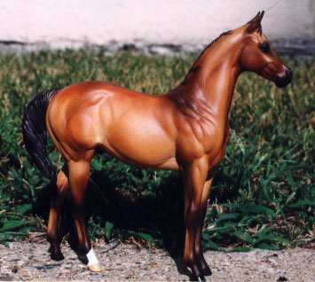 Weanling Painted by Lisa Rivera