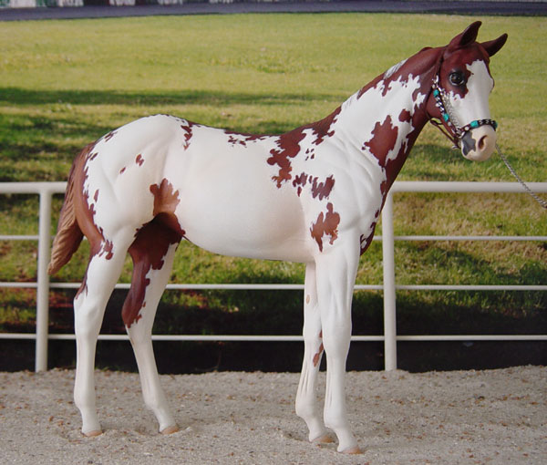 Weanling Painted by Lisa Rivera