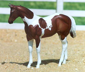 Weanling Painted by Lisa Rivera