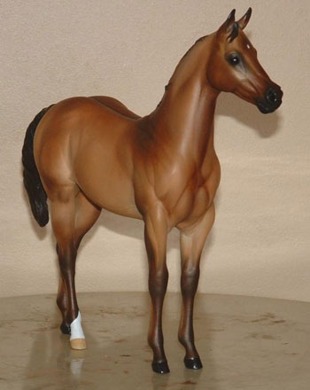 Weanling Painted by Lisa Rivera