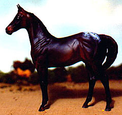 Weanling Painted by Sue Sudekum