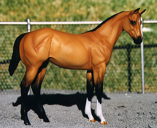 Weanling Painted by Teresa Bobis