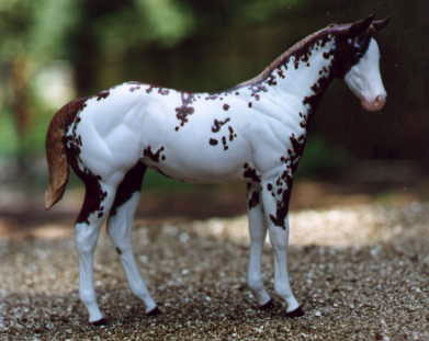 Weanling Painted by Jamie Coughlin