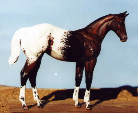 Weanling Painted by Lori Daniels