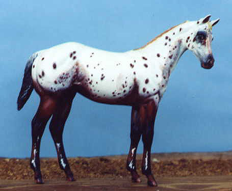 Weanling Painted by Lori Daniels