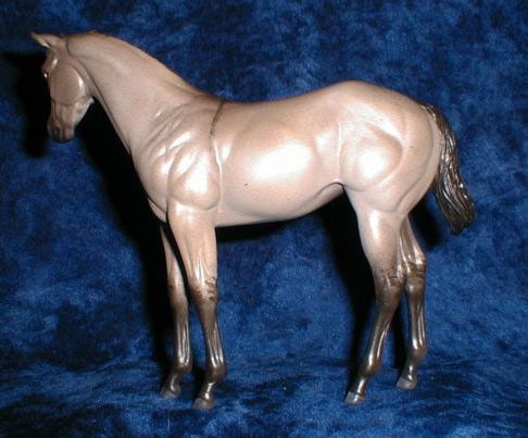 Weanling Painted by Morgan Haberman