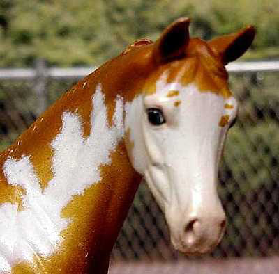 Weanling Painted by Suzanne McAllister
