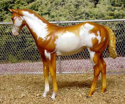 Weanling Painted by Suzanne McAllister