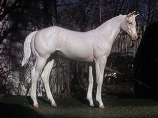 Weanling Painted by Suzanne McAllister