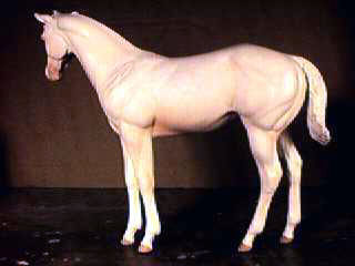 Weanling Painted by Suzanne McAllister