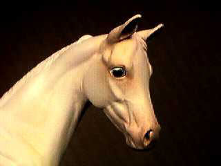 Weanling Painted by Suzanne McAllister