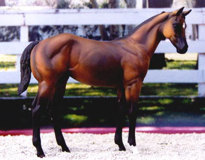 Weanling Painted by Shelly Verstuyft
