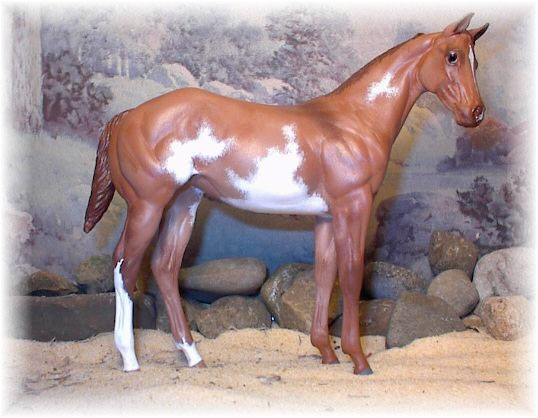 Weanling Painted by Jill Weimer