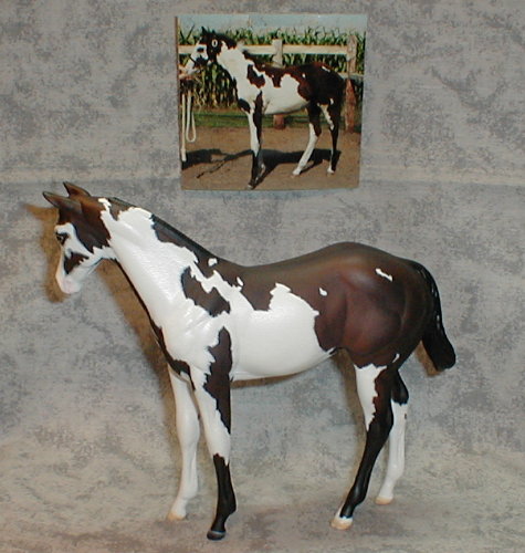 Weanling Painted by Pat Hefty