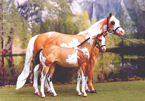 Weanling Painted by Marion Keefe