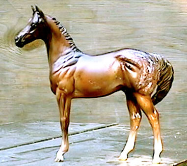 Weanling Painted by Jean Barrett