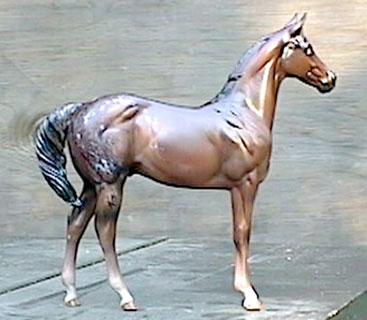 Weanling Painted by Jean Barrett