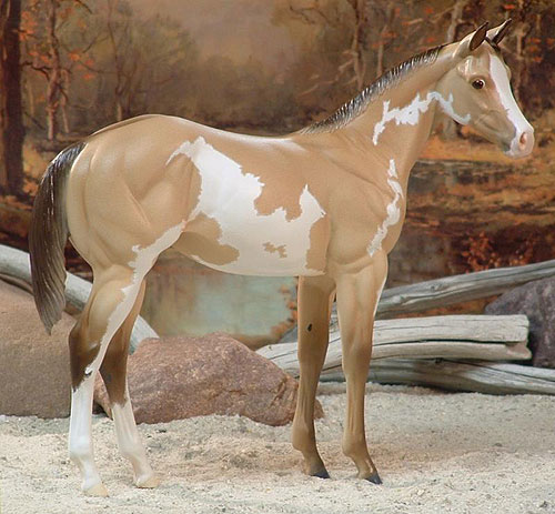 Weanling Painted by Karen Giesbrecht