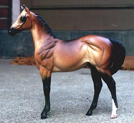 Weanling Painted by Lynn Milam