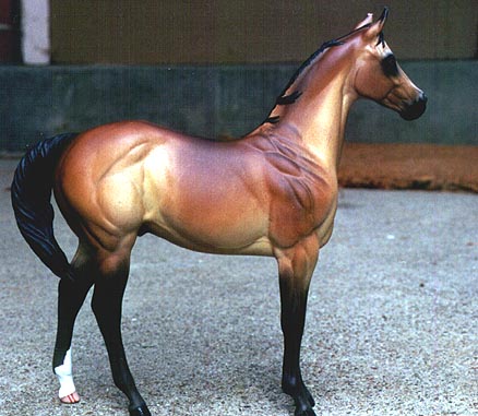 Weanling Painted by Lynn Milam