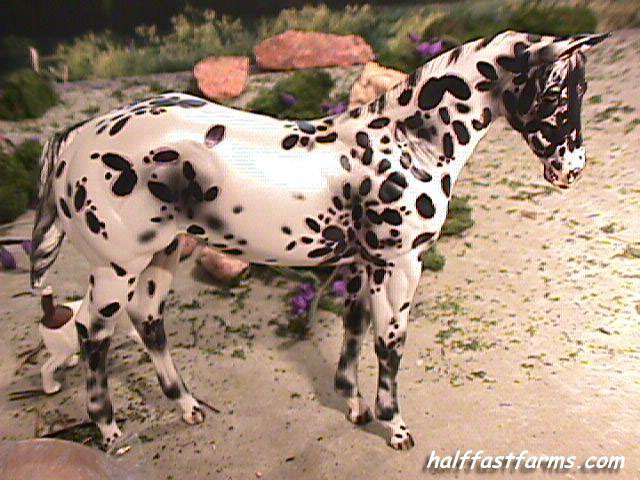 Weanling Painted by Myla Pearce