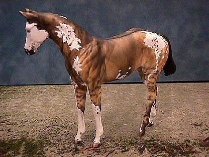 Weanling Painted by Myla Pearce
