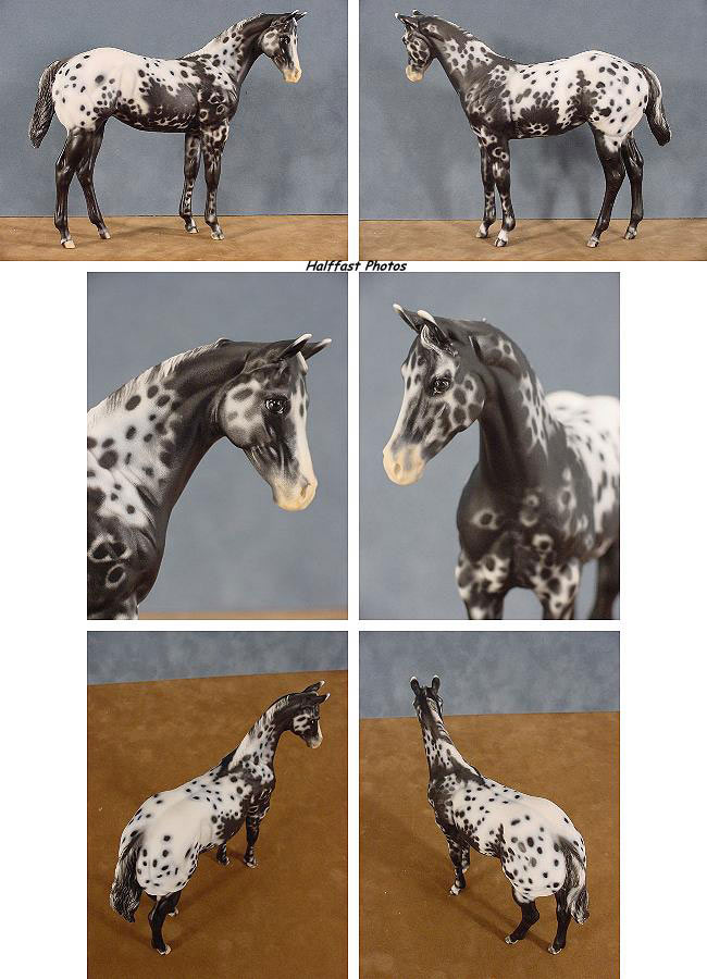 Weanling Painted by Myla Pearce