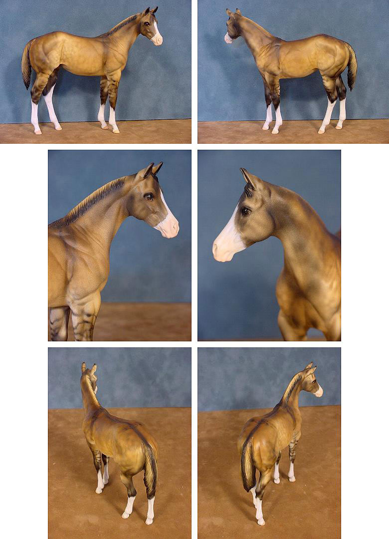 Weanling Painted by Myla Pearce