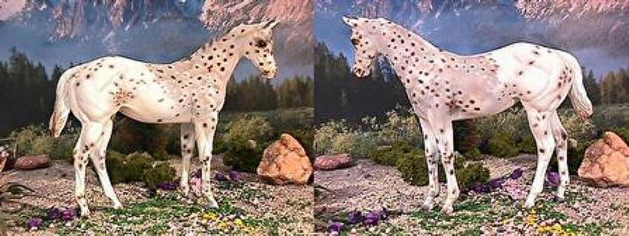 Weanling Painted by Myla Pearce