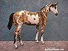 Painted Weanling
