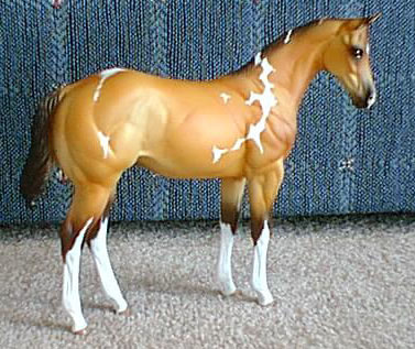 Weanling Painted by Dara West