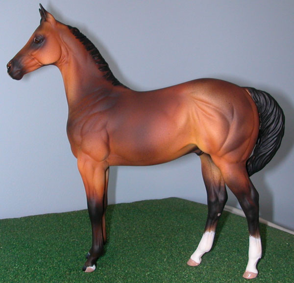 Weanling Painted by Dara West