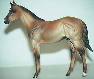 Weanling Painted by Dara West