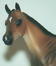 Weanling Painted by Dara West