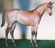 Weanling Painted by Dara West