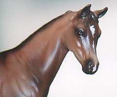 Weanling Painted by Dara West