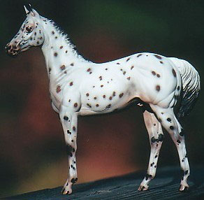 Weanling Painted by Dara West