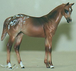 Weanling Painted by Dara West