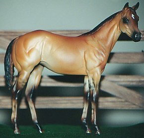 Weanling Painted by Dara West