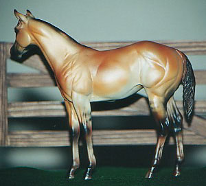 Weanling Painted by Dara West