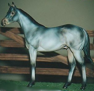 Weanling Painted by Dara West